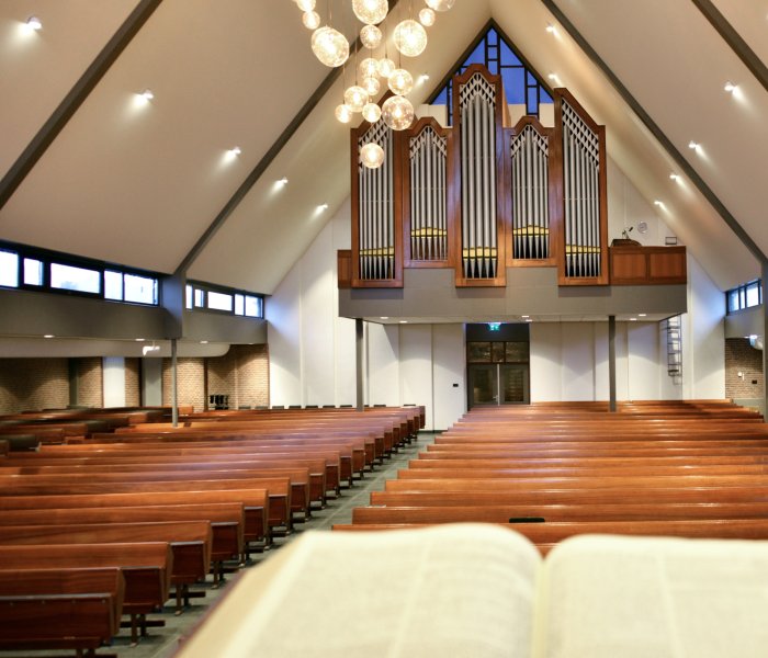 Concertagenda afbeelding - 